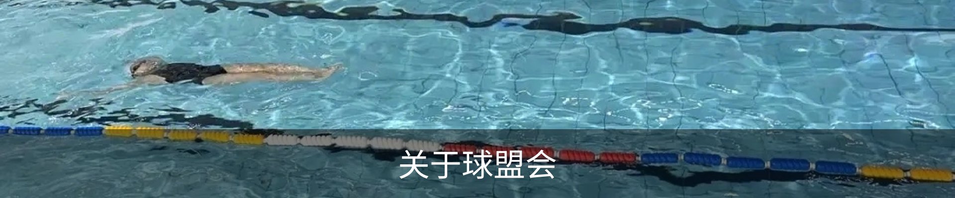 关于球盟会